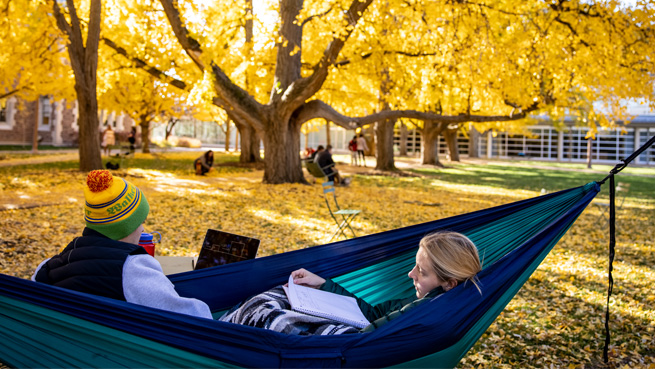 students study in their hammock under the ginkgo trees